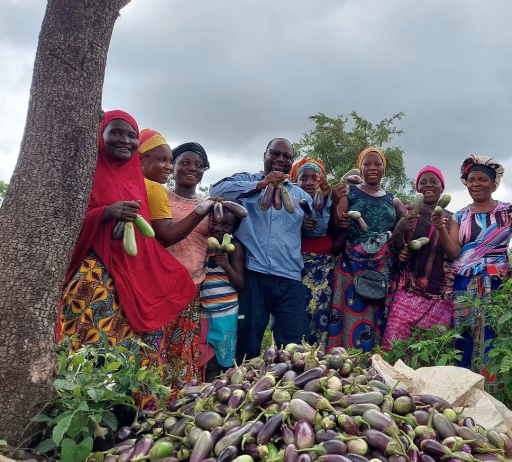YEMBERIN : 184 kg d’aubergines : quand la terre récompense le travail des communautés grâce à l’appui de chalco